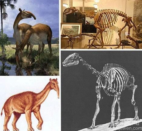 盘点：14种已灭绝远古巨兽 凶猛的习性一度成为动物最重要的特性