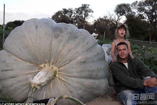  世界上最大的洋葱有多大？重达7.03公斤【图】
