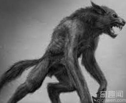 世界上真有狼人吗 关于狼人的起源