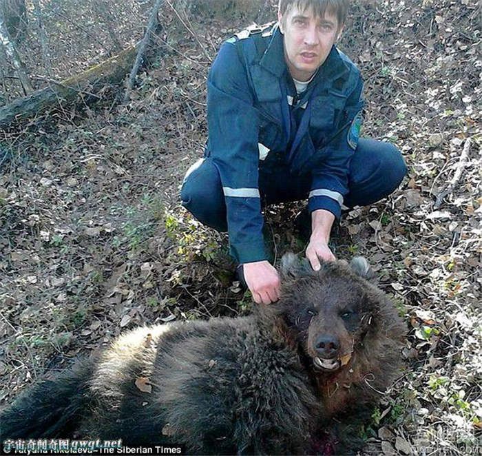 俄罗斯女子遇熊攻击活埋后竟然没死