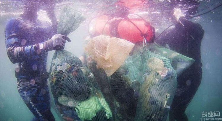 深圳志愿者蛙人潜入海底打捞垃圾