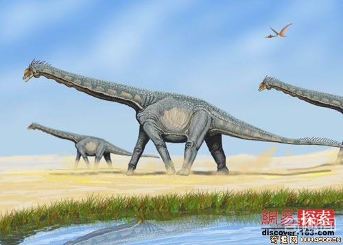 [图文]美国出土1.5亿年前保存完整的恐龙化石