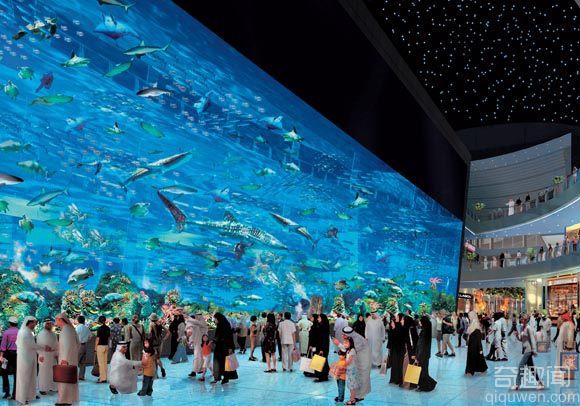 世界上面积最大超市商场：迪拜购物中心【图片】