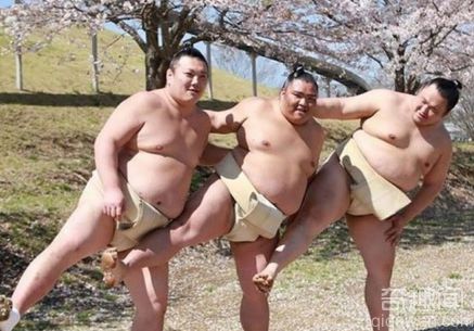 日本相扑手拍妩媚写真 看完很想吐