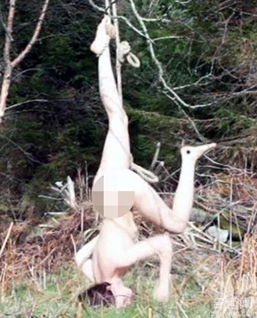 这是怎么了？一女子全裸倒挂在树上