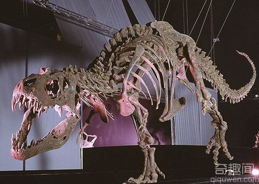 古生物学家在西班牙发现世界上最大的恐龙筑巢地