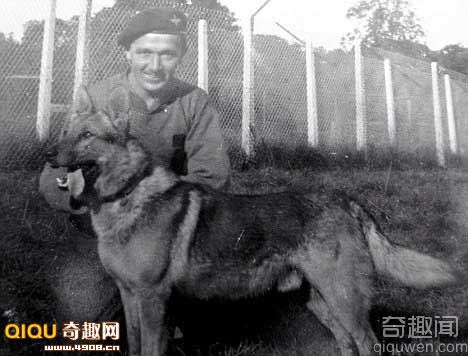 [图文]阐述二战英军空战战犬的战时神话