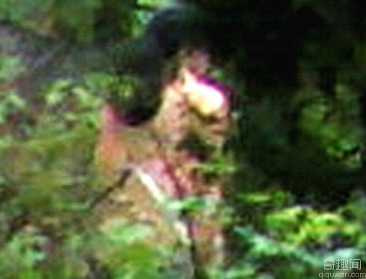 无意中拍到丛林间两个粉红色“山娃”