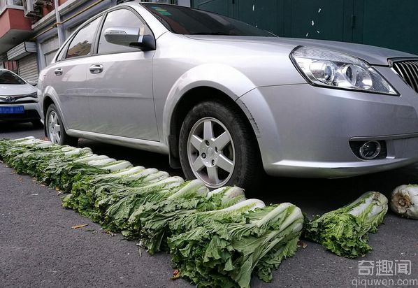 长春一小区现绿色蔬菜停车位 用的都是大白菜