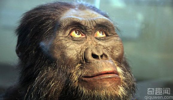 世界上最早出现的人类 南方古猿现已灭绝
