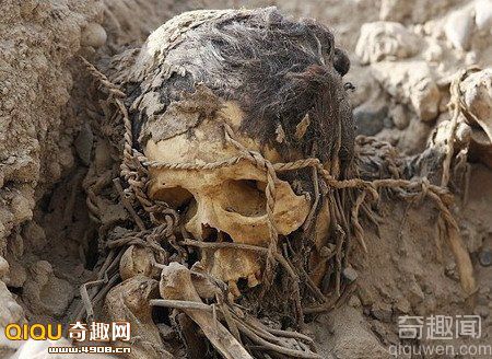 1400年前印加古墓尸体骨架出土