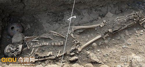 1400年前印加古墓尸体骨架出土