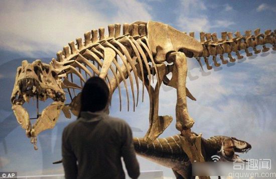 血王龙 比霸王龙早千万年的新物