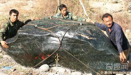 [图文]新疆石河子身藏5.2吨巨型玛纳斯碧玉