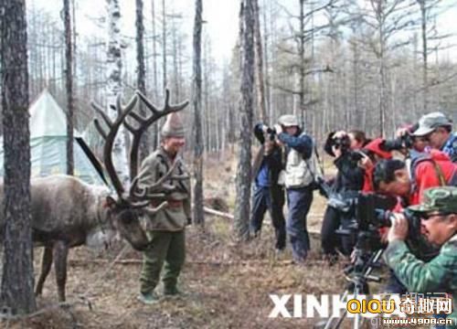 [图文]探访中国最后女酋长：以驯鹿为生将终老山林