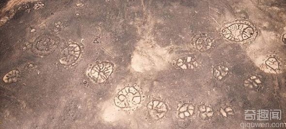 [图文]中东地区出现大量神秘的石轮图案