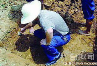 [图文]荆坪村古墓群开挖 再次刷新古村文物记录
