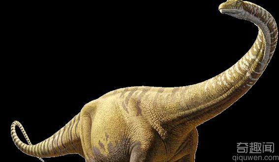 解密：最大的恐龙是如何移动如此沉重的身躯?