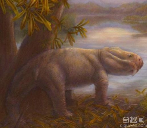 科学家发现了生存在灭绝事件过后一千万年时期的恐龙祖先化石