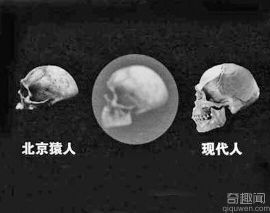 元谋猿人北京猿人非现代人祖先