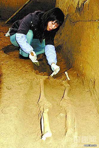 [图文]河南焦作发现龙山文化古城遗址现西周时期古墓葬