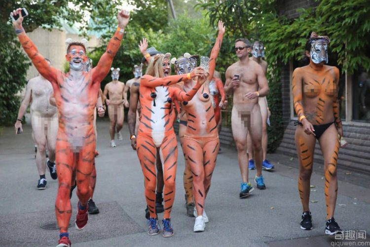 伦敦动物园百人裸奔 意为伦敦动物园老虎募捐