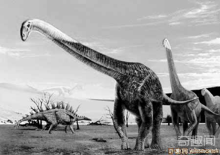 [图文]新疆奇台恐龙沟再现巨型化石 重约2.5吨