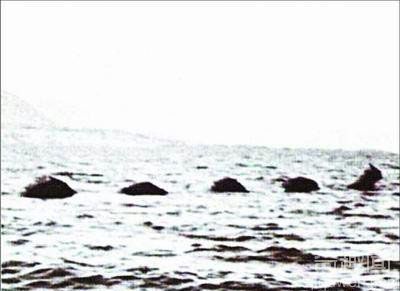 1872欧肯纳银水怪浮出水面照片 头部像马身躯像蛇
