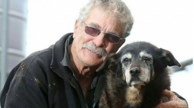 世界最老狗狗辞世 享年30岁 等于人类年龄的133岁