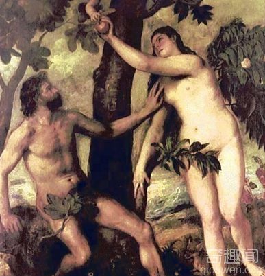 亚当和夏娃偷吃禁果 亚当和夏娃如何造人