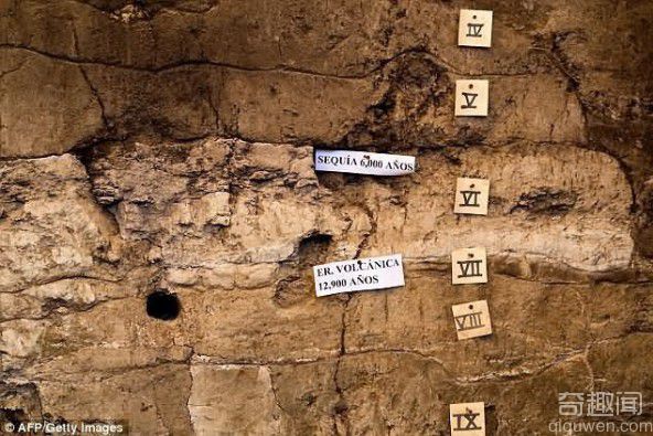 墨西哥发现长毛象尸骨 尸体可追溯至万年前