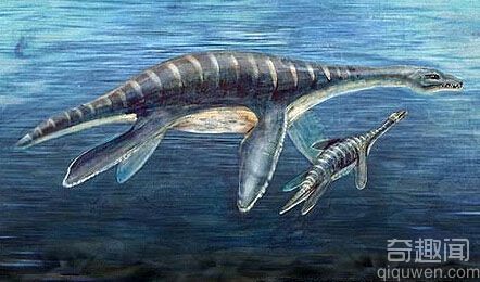最为古老的南极“海怪”化石