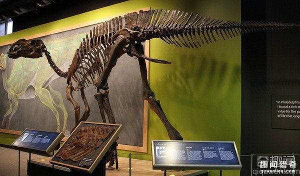 内蒙古发现最完整恐龙化石 骨胳的保存相当良好