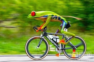 好奇葩！英国男子骑自行车超速被交警开罚单