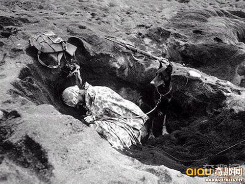[图文]日军两处千人集体坟场被发现 揭示硫磺岛战役之残酷