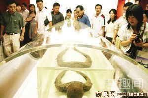 [图文]南京医学家尝试提取DNA“复活”千年女尸 结果不理想