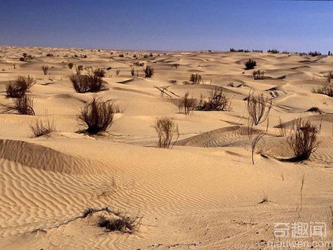 沙漠地区才是世界上最热的地方