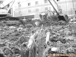 [图文]南京发现六朝城壕 地下露出的圆形木桩
