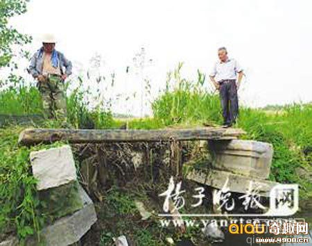 [图文]江苏淮安乡间老桥原为明代孝子碑 村民走了50多年