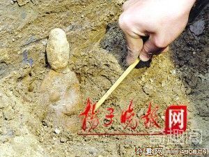 南京现南朝奢华古墓挖出一把甜瓜子 令人摸不着头脑