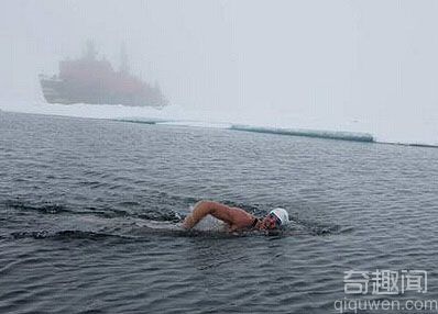 男子南极游泳破世界之最记录  零下1.7℃海水中游20分钟