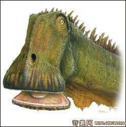 [图文]美国考古发现嘴大如同吸尘器奇特恐龙 简称“尼日尔龙”