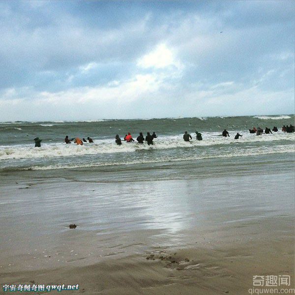 “琥珀之都”俄罗斯海滩琥珀被海浪吹上岸 民众掀"淘宝潮"