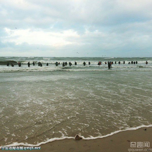 “琥珀之都”俄罗斯海滩琥珀被海浪吹上岸 民众掀"淘宝潮"