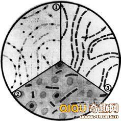 [多图]揭秘日军731部队研制细菌武器：鼠疫的传播的途径