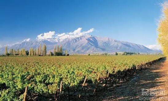 世界上最狭长的国家 也是葡萄酒的盛产地
