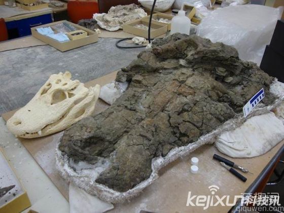 史前巨鳄：400公斤远古“炎魔”以巨龟为食