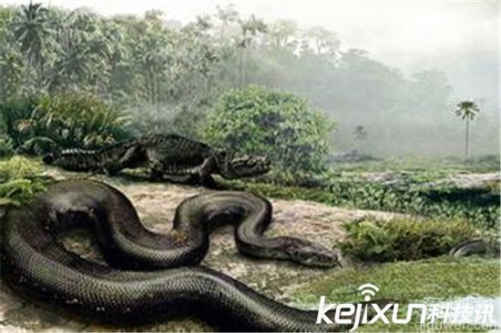 世界上最大的眼镜王蛇 竟完胜史前巨蟒