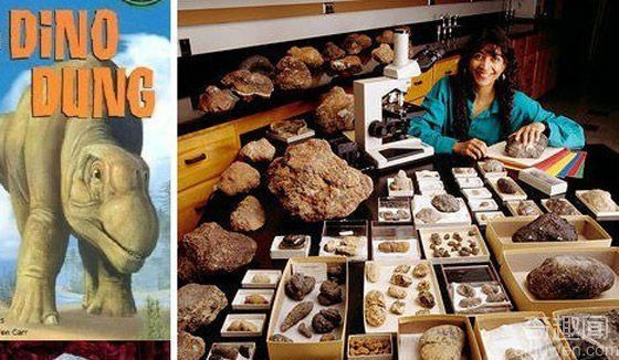 史前粪便化石：没有臭味的宝贝