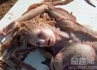  澳洲海滩渔民发现美人鱼尸体 神秘传说再度引爆